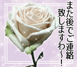 Rose Lady Sticker sticker #13700319