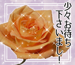 Rose Lady Sticker sticker #13700320