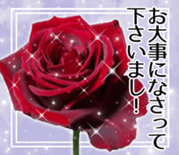 Rose Lady Sticker sticker #13700329