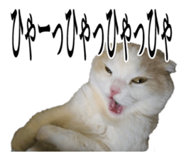 Funny Cats Cartoon 2 sticker #13700438