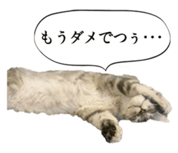 Funny Cats Cartoon 2 sticker #13700440