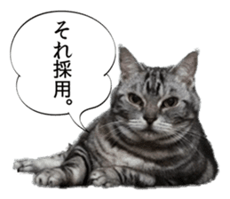 Funny Cats Cartoon 2 sticker #13700442