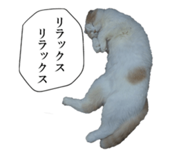 Funny Cats Cartoon 2 sticker #13700443