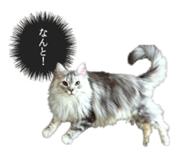 Funny Cats Cartoon 2 sticker #13700444