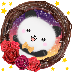 mohu panda4 winter spring