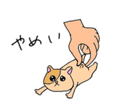 odd set sticker #13700779