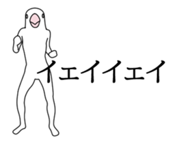 The birdman sticker #13700863