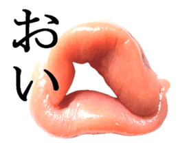 Basic Hiragana of cod roe lips sticker #13701724