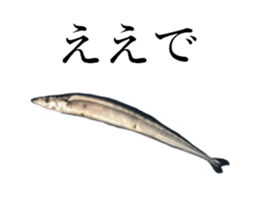 Kansai dialect in the Pacific saury sticker #13701766
