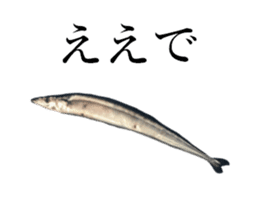 Kansai dialect in the Pacific saury sticker #13701766