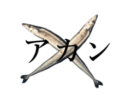 Kansai dialect in the Pacific saury sticker #13701769