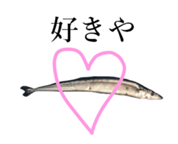 Kansai dialect in the Pacific saury sticker #13701771