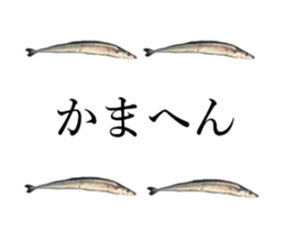 Kansai dialect in the Pacific saury sticker #13701772