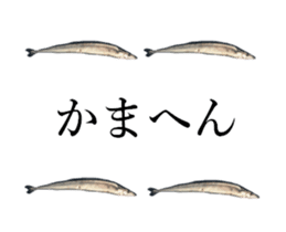 Kansai dialect in the Pacific saury sticker #13701772