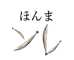 Kansai dialect in the Pacific saury sticker #13701773