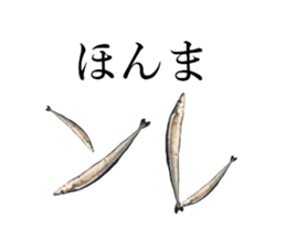 Kansai dialect in the Pacific saury sticker #13701773