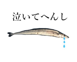 Kansai dialect in the Pacific saury sticker #13701774