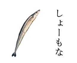 Kansai dialect in the Pacific saury sticker #13701775