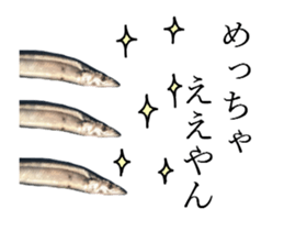 Kansai dialect in the Pacific saury sticker #13701778