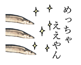 Kansai dialect in the Pacific saury sticker #13701778