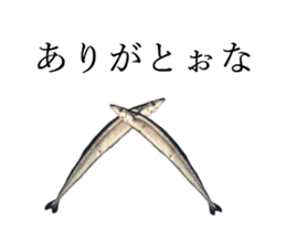 Kansai dialect in the Pacific saury sticker #13701779