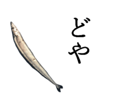 Kansai dialect in the Pacific saury sticker #13701781