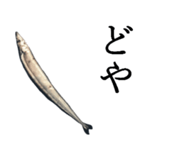 Kansai dialect in the Pacific saury sticker #13701781