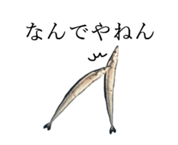 Kansai dialect in the Pacific saury sticker #13701782