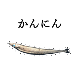 Kansai dialect in the Pacific saury sticker #13701783