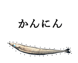 Kansai dialect in the Pacific saury sticker #13701783
