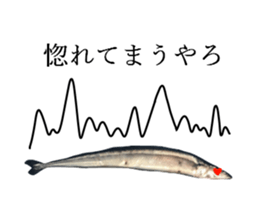 Kansai dialect in the Pacific saury sticker #13701784