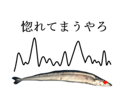Kansai dialect in the Pacific saury sticker #13701784