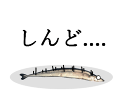 Kansai dialect in the Pacific saury sticker #13701785