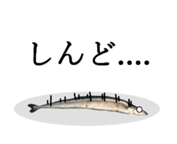 Kansai dialect in the Pacific saury sticker #13701785