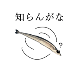Kansai dialect in the Pacific saury sticker #13701786