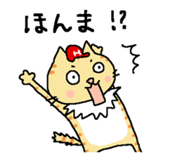 Red helmet cats , hinatiro sticker #13702425