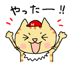 Red helmet cats , hinatiro sticker #13702428