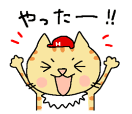 Red helmet cats , hinatiro sticker #13702428
