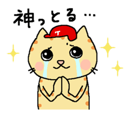 Red helmet cats , hinatiro sticker #13702429