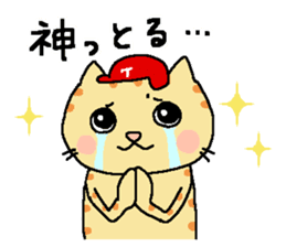 Red helmet cats , hinatiro sticker #13702429