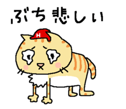 Red helmet cats , hinatiro sticker #13702432