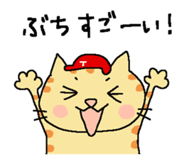 Red helmet cats , hinatiro sticker #13702440