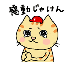 Red helmet cats , hinatiro sticker #13702442