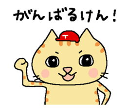 Red helmet cats , hinatiro sticker #13702444