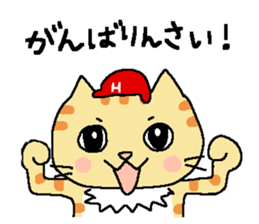 Red helmet cats , hinatiro sticker #13702445