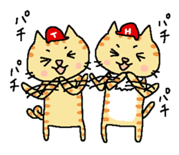 Red helmet cats , hinatiro sticker #13702457