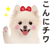 Cute dog of a picture sticker #13702464