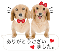 Cute dog of a picture sticker #13702475