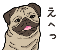 Daily Pug sticker #13702569