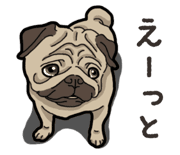 Daily Pug sticker #13702572